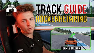 HOW TO DRIVE HOCKENHEIMRING LIKE A PRO ON RENNSPORT  w James Baldwin [upl. by Thomasa]