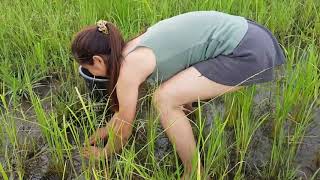 WowBeautiful Girl Fishing Amazing Fishing at Battambang How To catch fish by hand [upl. by Macmahon890]