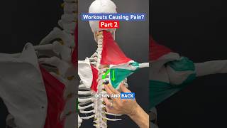 Part 2 of 2 Do workouts cause neck pain headaches or jaw pain neckpain headache tmj [upl. by Sanger44]