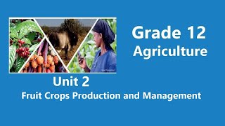 Grade 12 Agriculture Unit 2 Fruit Crops Production and Management [upl. by Etnad]