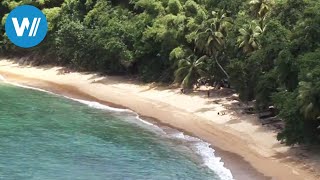 Tobago traveldocumentary from the season quotCaribbean Momentsquot [upl. by Tina]