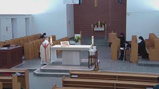 Mass 32nd Friday St Albert the Great Nov 15 2024 [upl. by Beata]