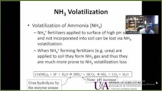 Roberts Trenton1116 Understanding Ammonia Volatilization Loss and Urease Inhibitors [upl. by Rashida]