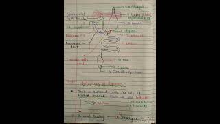 PART  2 Frog  Anatomy   biology  neet [upl. by Magnuson]