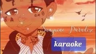 sanguine paradise Karaoke Lil Uzi [upl. by Cordi]