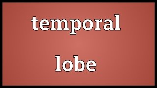 Temporal lobe Meaning [upl. by Hooper]