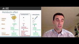 Metreleptin for generalized lipodystrophy  Video abstract 66521 [upl. by Nosidam]