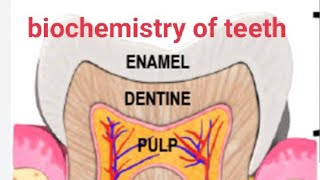 biochemistry of teethrole of saliva on teethproteins of enamel [upl. by Willy]