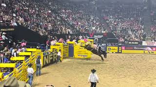 National Finals Rodeo 2023 Bronc Ridin [upl. by Winni]