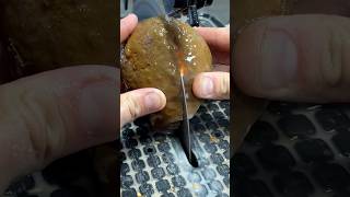 Epic agate cut open [upl. by Russ]