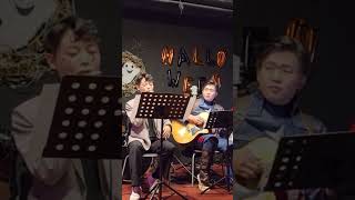 할로윈 공연 다이나믹듀오죽일놈Cover by 횰 할로윈 공연 cover [upl. by Riegel]