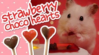 💘 Strawberry Choco Hearts  HAMSTER KITCHEN 💘 [upl. by Yarak596]