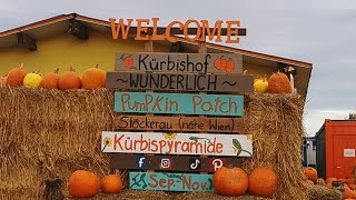 Pumpkin Patch Stockerau  Kürbishof [upl. by Airalav]