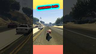 cachorro loko gta [upl. by Hanas]