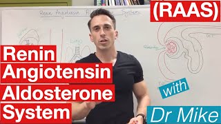 Renin Angiotensin Aldosterone system [upl. by Alhsa232]