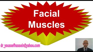 Muscles of Face  Orbicularis oculi  Orbicularis oris  Buccinator  Muscles of facial expression [upl. by Bowe]