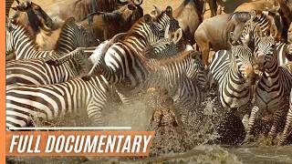 Amazing nature  Run to survive  Full Documentary [upl. by Nirtiac]