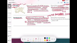 Ependymal cells neurology 16  First Aid USMLE Step 1 in UrduHindi [upl. by Manville932]