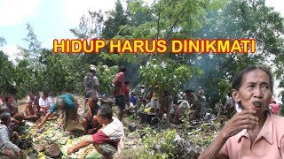 Beginilah Kebiasaan Hidup di Toraja [upl. by Sahcnip]