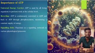 Adenosine Triphosphate [upl. by Wistrup]