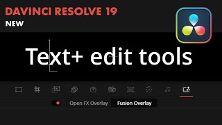 How to use Text edit tools in viewer DaVinci Resolve 19 [upl. by Anaihr]