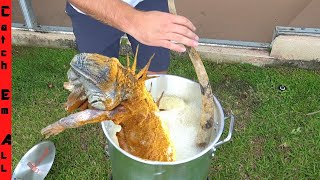 FRYING 5ft IGUANA WHOLE Cold Iguanas are Adapting to Cold Weather [upl. by Talmud669]