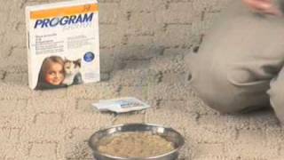 Pet Meds  Program Liquid Flea Preventative for Cats [upl. by Daloris]