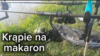 Krąpie na makaronMethod feeder na komercji [upl. by Ethelstan462]