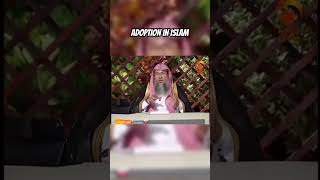 ADOPTION IN ISLAM [upl. by Sisxela]