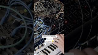 eurorack modular makenoise intellijel sealegs STO ambient idm [upl. by Haimarej]