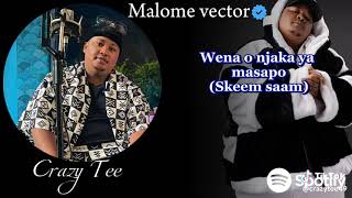 MALOME VECTOR SKEEM SAAM X UBUNTU BAND LILYJOKE ntatestunnaofficial [upl. by Stilu]