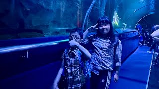 Aquaria Klcc [upl. by Lrem]