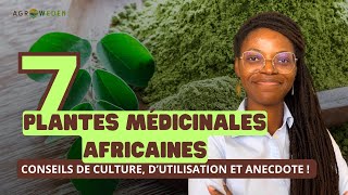 Se SOIGNER avec 7 PLANTES AFRICAINES conseils dutilisation et anecdote [upl. by Sidwel]