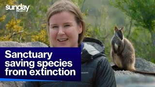 Sanctuary Saving Species From Extinction [upl. by Eecak957]