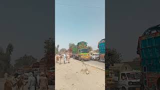 kalan cow mandi  Peshawar cow mandi  kalan mandi road view [upl. by Eseryt]