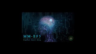 MMEF5™ MasterMind  Upgrade Your Brain Patreon [upl. by Tudor]