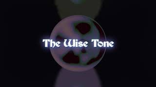 The Wise Tone  Dreams Official Lyric Video [upl. by Aleras]