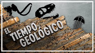 Las ERAS y PERIODOS en GEOLOGÍA y PALEONTOLOGÍA [upl. by Mirilla807]