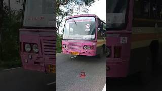 💥P96 நம்பர் அரசு பேருந்து💖 பின்னாடியே சென்றது trendingshorts hornsound tnstc reversevideo bus [upl. by Chard]