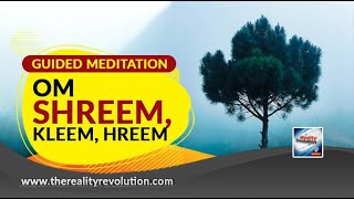 Guided Meditation OM Shreem Kleem Hreem [upl. by Haughay]