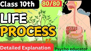 😈class X 😱 Life process 👹 detailed explanation class10 iitjee education neet science shorts [upl. by Repard]