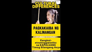 Pagkakaiba ng Kalinangan  Pangkatetnolinggwistiko sa Kapuluang Timog Silangang Asya [upl. by Kjersti]