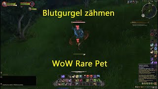 World of Warcraft  Blutgurgel Rar Pet zähmen  keine 10min und es war erledigt [upl. by Arturo]