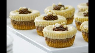 Peanut Butter Chocolate Mini Cheesecakes [upl. by Morocco482]