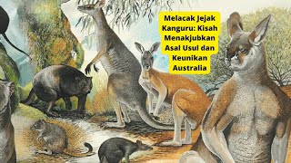 Melacak Jejak Kanguru Kisah Menakjubkan Asal Usul dan Keunikan Australia [upl. by Eilyab]