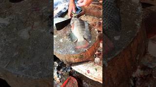 Incredible Tilapia Fish Cutting Skills In Bangladesh Local Fish Market😱 shorts [upl. by Annayram819]