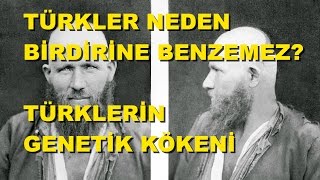 Türklerin Genetik Kökeni [upl. by Jereme452]