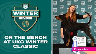 On the Bench at UKC Winter Classic [upl. by Repsaj45]