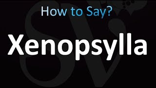 How to Pronounce Xenopsylla correctly [upl. by Aneret855]