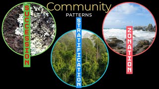 Community Patterns Zonation stratification amp succession [upl. by Elmajian]